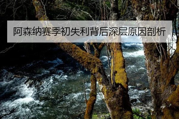 阿森纳赛季初失利背后深层原因剖析
