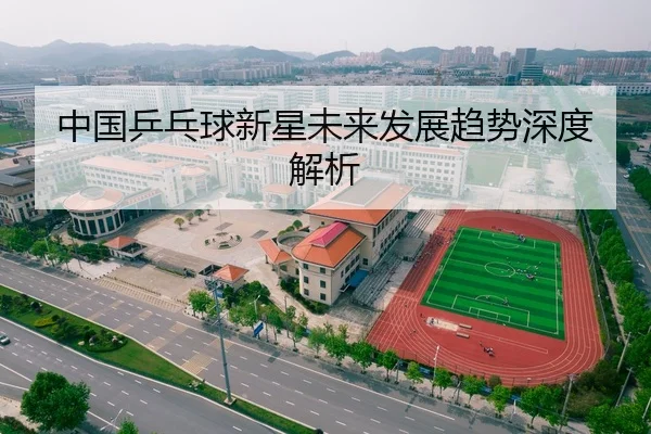 中国乒乓球新星未来发展趋势深度解析